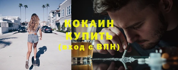 мет Инта