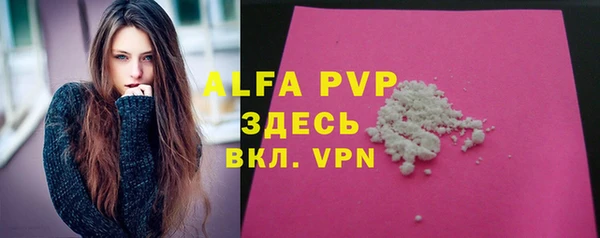 шишки Инсар