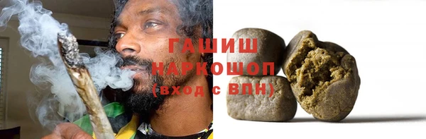 шишки Инсар