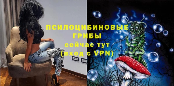 круглые Иннополис