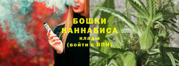 мет Инта