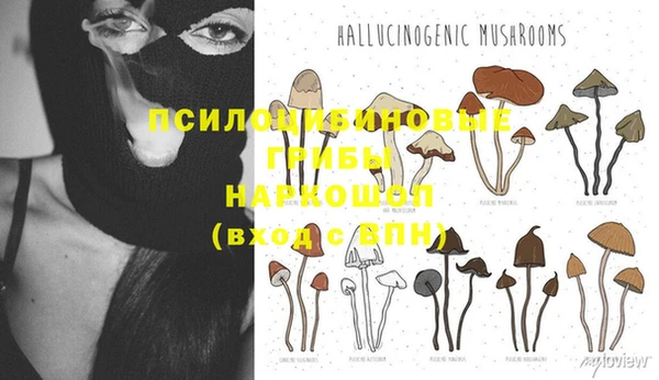 шишки Инсар