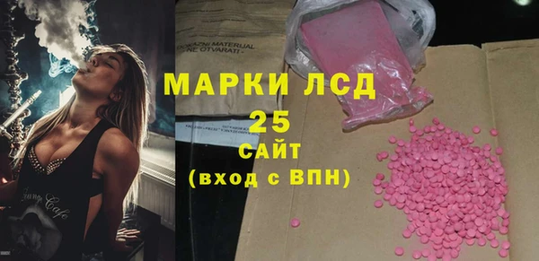 шишки Инсар