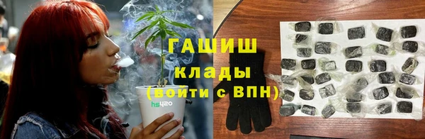 мет Инта