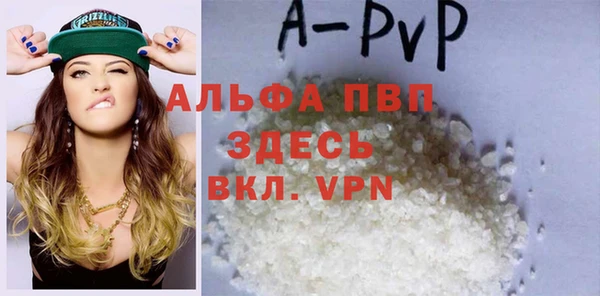 шишки Инсар